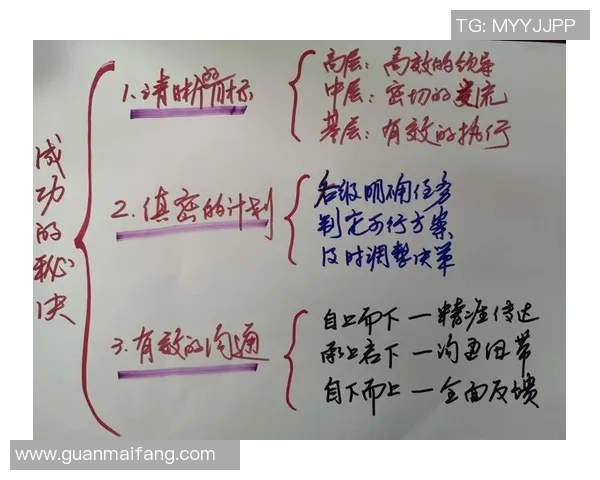 刘强专访揭秘排球成功背后的秘诀与团队精神